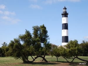 Phare de Chassiron