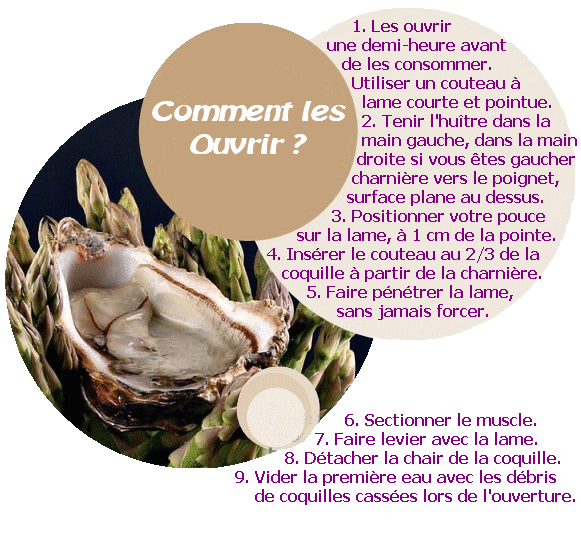 Comment ouvrir une huître Marennes Oléron