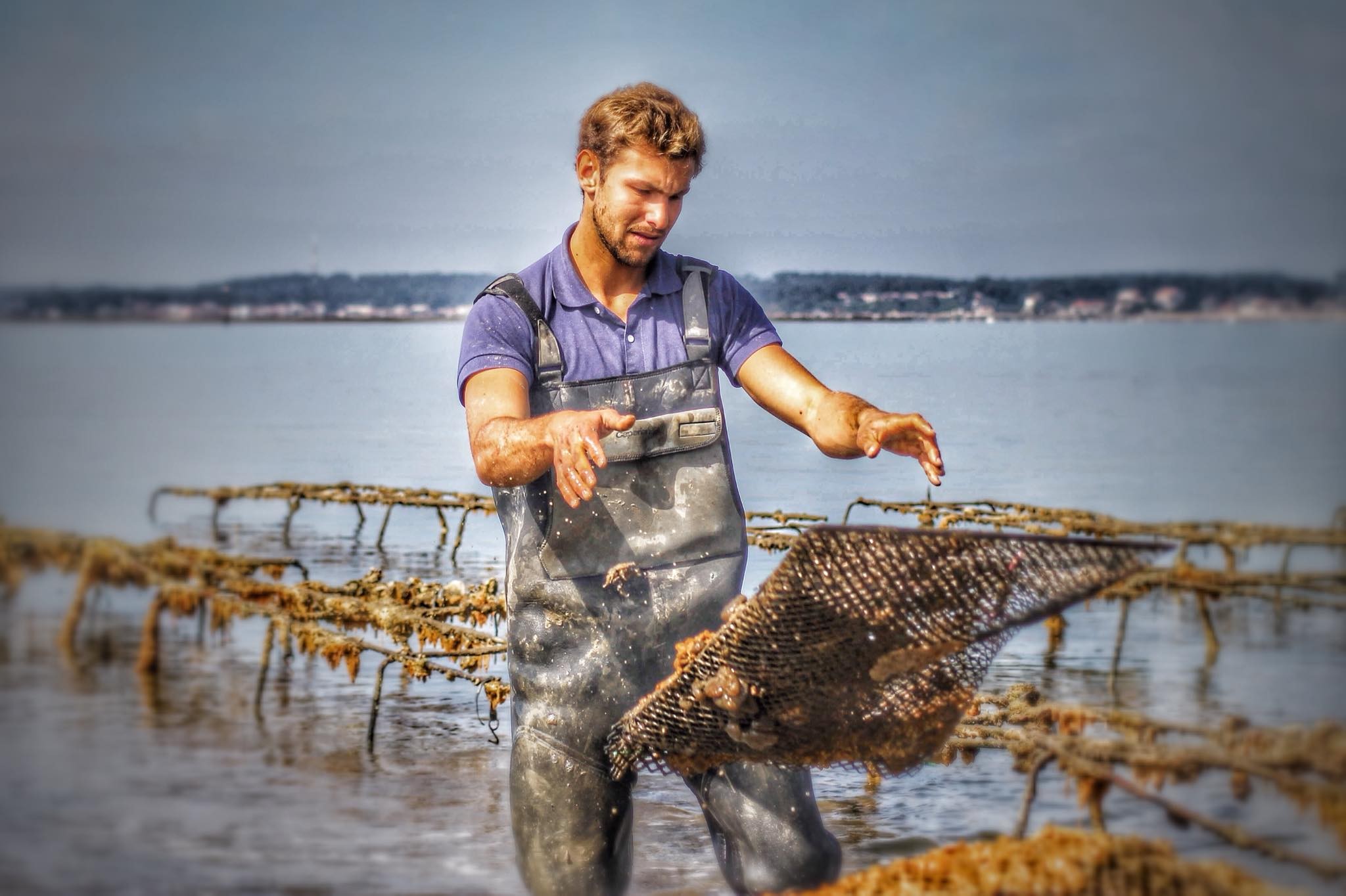 Oyster farmer