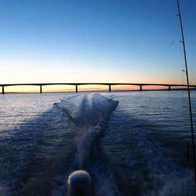 Pont de La Seudre, au couché du soleil