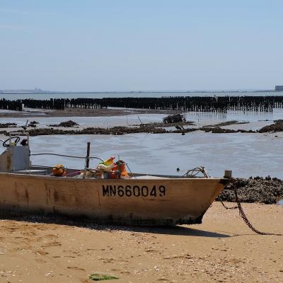 L'histoire écrite par les marins