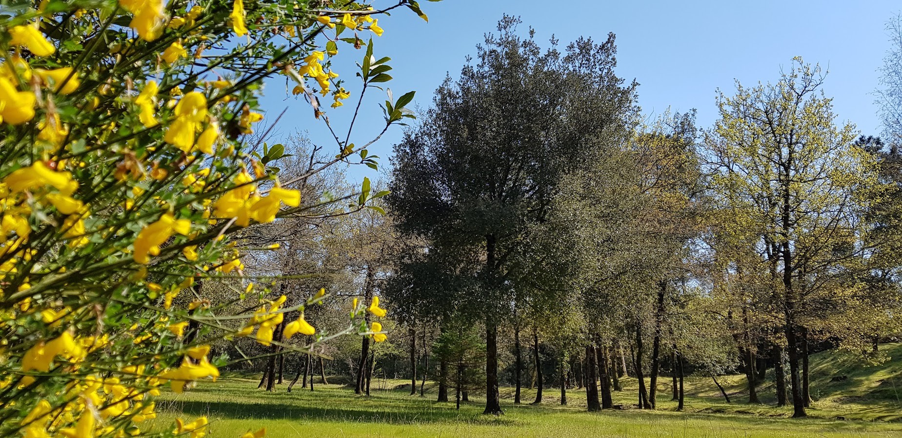 Die Natur erwacht in Farben