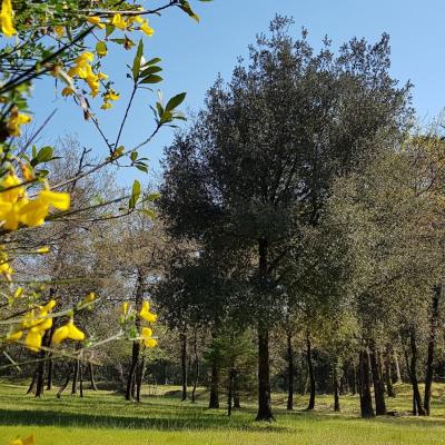 La Nature se réveille en couleurs