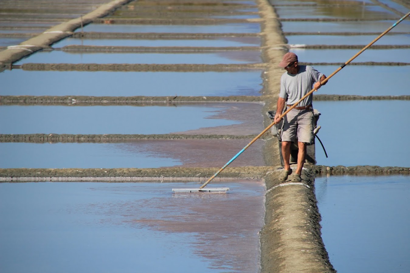 Saulnier, le bon sel de Mer