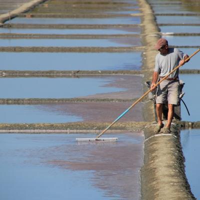 Saulnier, le bon sel de Mer