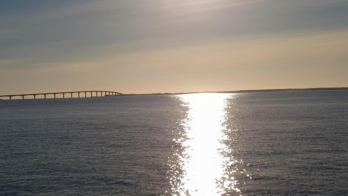 Pont de La Seudre et reflets