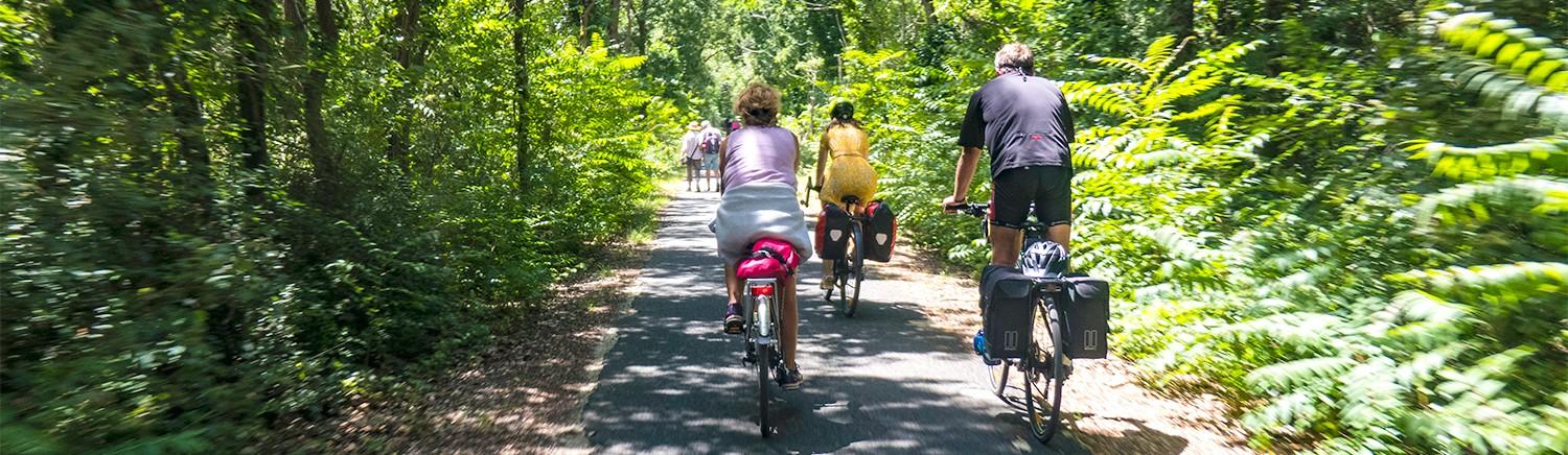 Velodysse en foret de la coubre